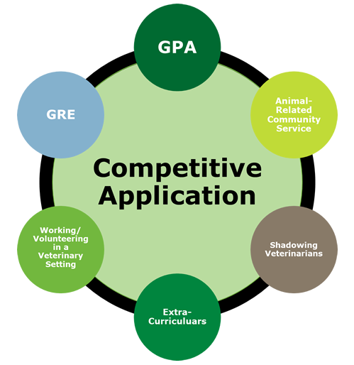 competitive application: GPA, GRE, working/volunteering in a veterinary setting, extracurriculars, shadowing veterinarians, animal-related community service